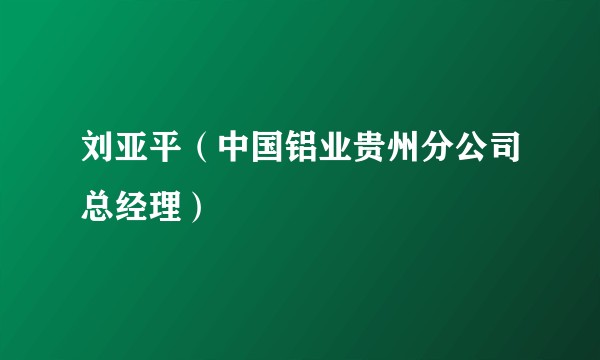 刘亚平（中国铝业贵州分公司总经理）