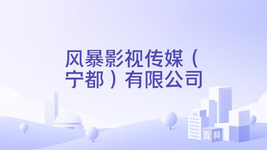 风暴影视传媒（宁都）有限公司