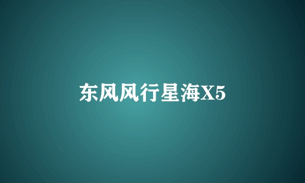 东风风行星海X5