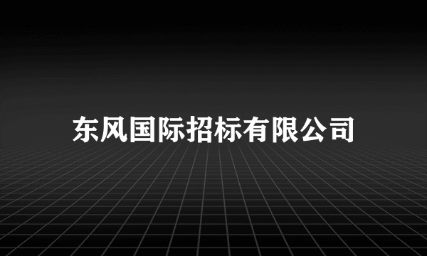东风国际招标有限公司