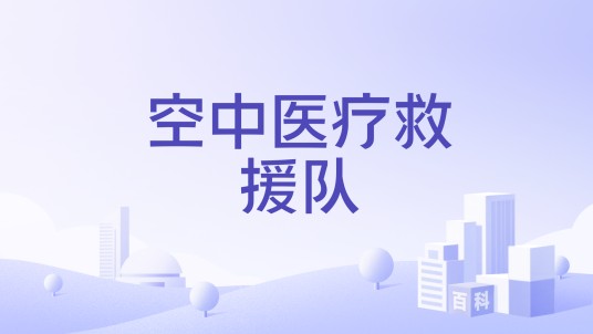空中医疗救援队