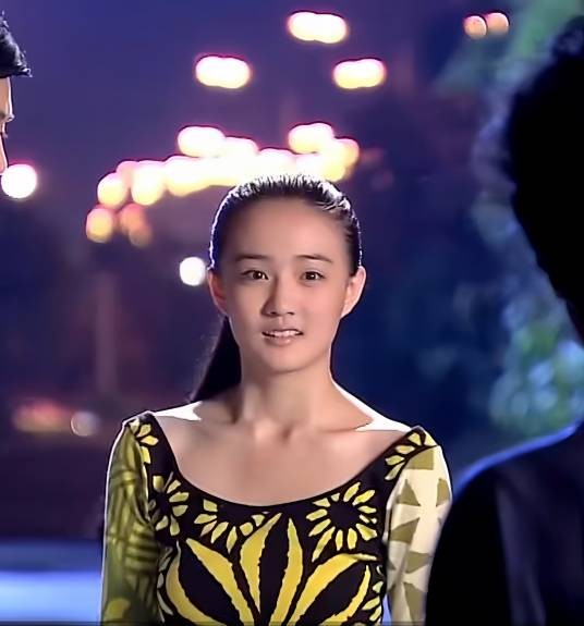 胡小雅(电视剧《摩登女婿》中的人物)