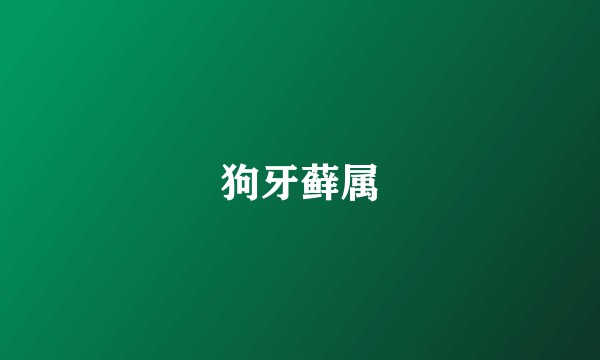 狗牙藓属