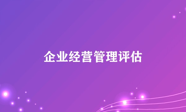 企业经营管理评估