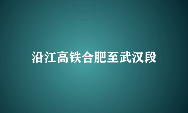 沿江高铁合肥至武汉段