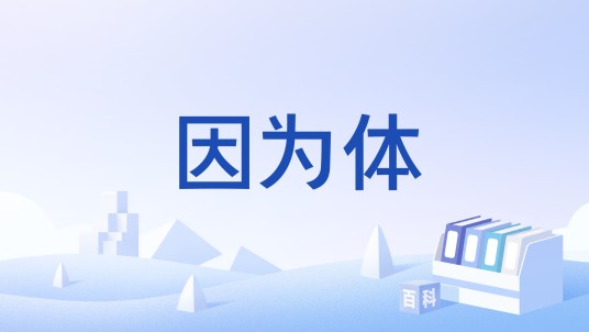 因为体