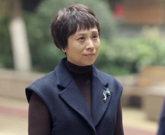 丁玉兰（都市话题剧《故乡，别来无恙》中的角色）