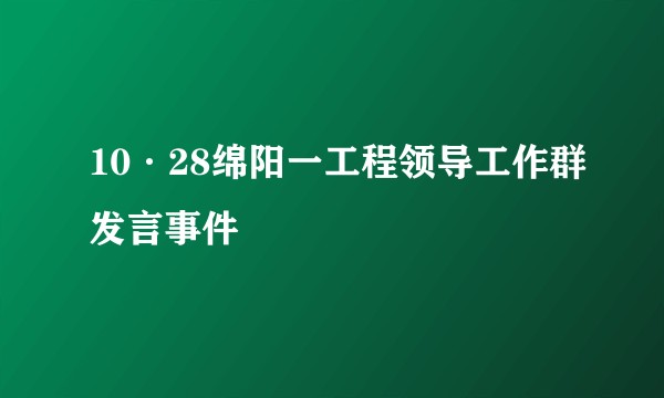 10·28绵阳一工程领导工作群发言事件
