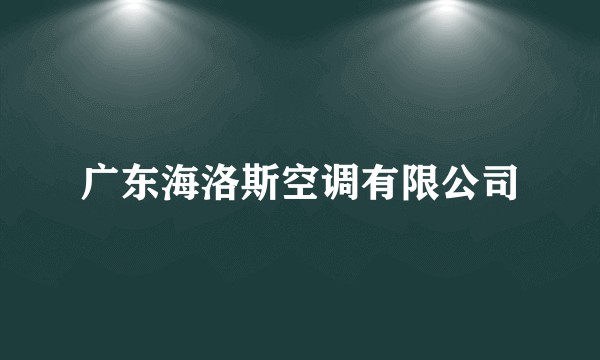 广东海洛斯空调有限公司