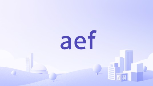 aef(ADO.NET Entity Framework)