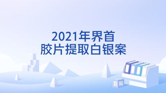 2021年界首胶片提取白银案