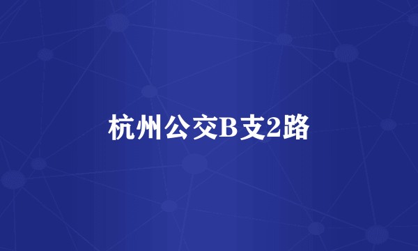 杭州公交B支2路
