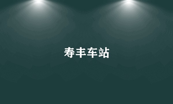 寿丰车站