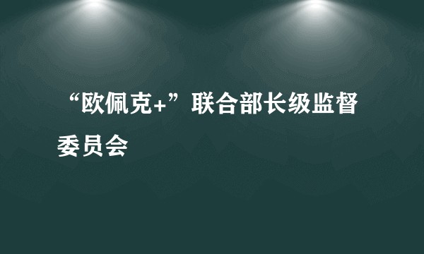 “欧佩克+”联合部长级监督委员会
