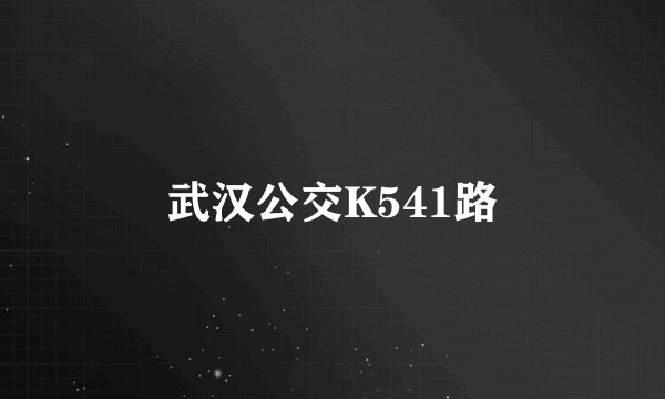武汉公交K541路