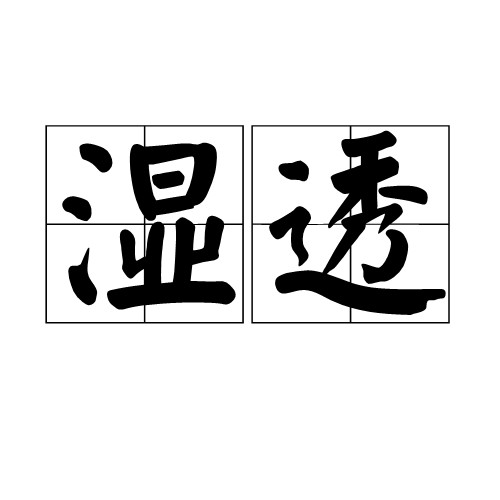 湿透（汉语词语）