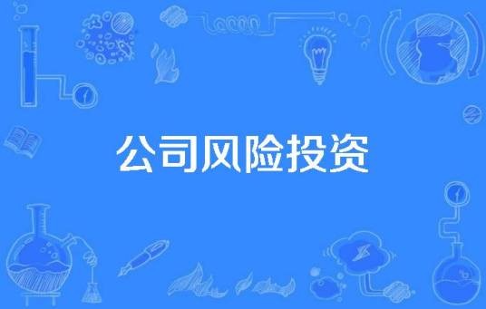 公司风险投资