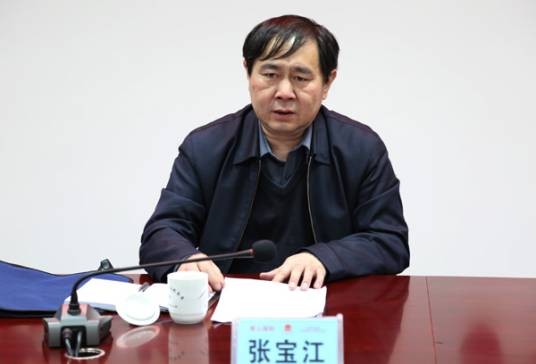 张宝江(国家税务总局天津市税务局原副局长)