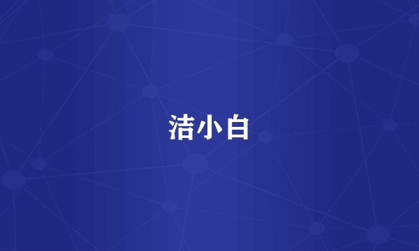洁小白