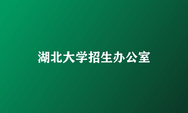 湖北大学招生办公室