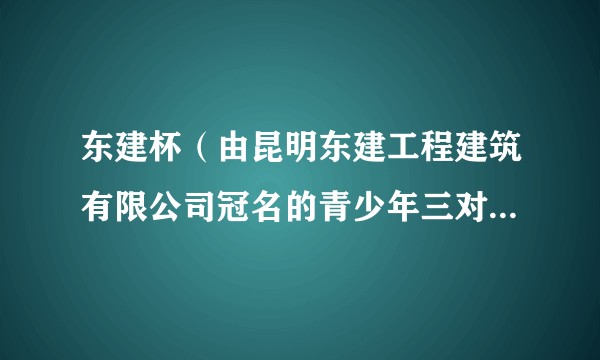 东建杯（由昆明东建工程建筑有限公司冠名的青少年三对三篮球赛）