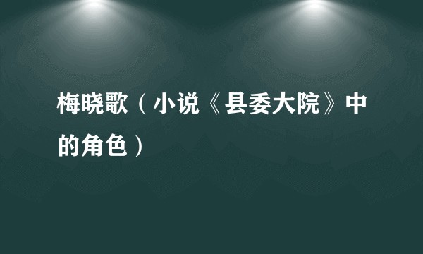 梅晓歌（小说《县委大院》中的角色）