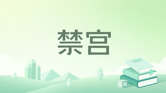 禁宫（汐晓萱创作的网络小说）