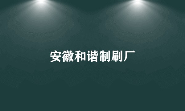 安徽和谐制刷厂