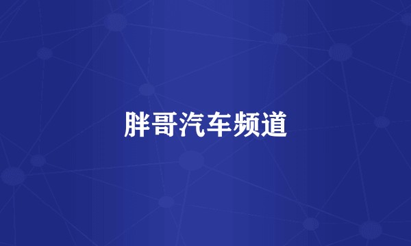 胖哥汽车频道