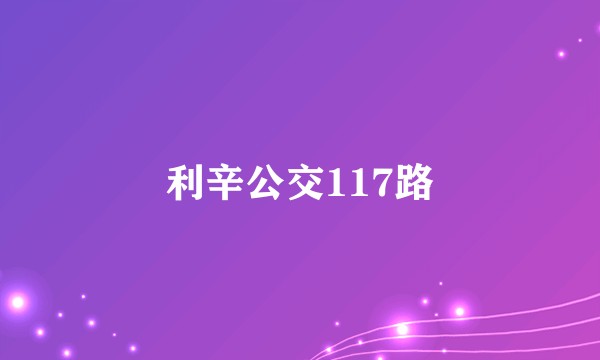 利辛公交117路