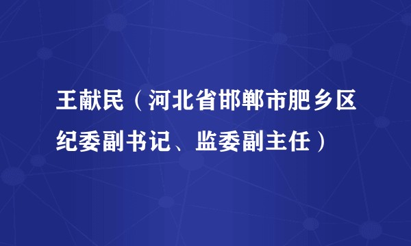 王献民（河北省邯郸市肥乡区纪委副书记、监委副主任）