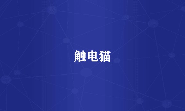 触电猫