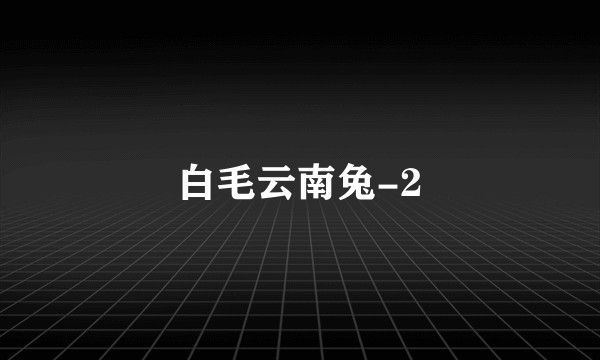 白毛云南兔-2