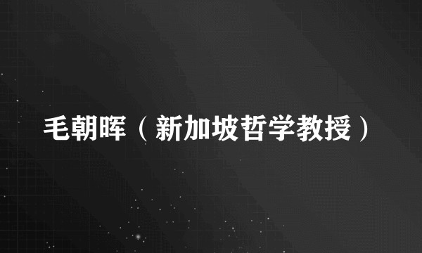 毛朝晖（新加坡哲学教授）