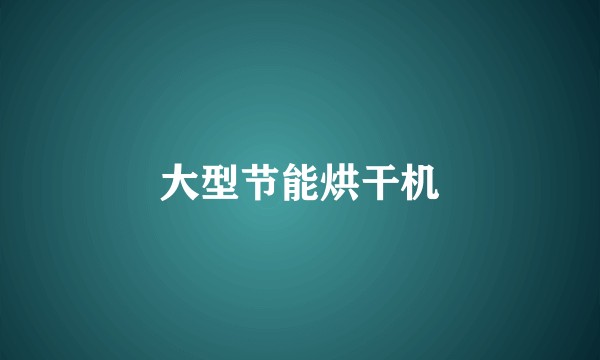 大型节能烘干机
