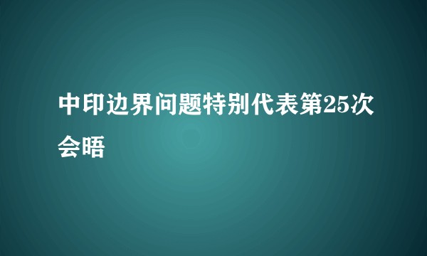 中印边界问题特别代表第25次会晤