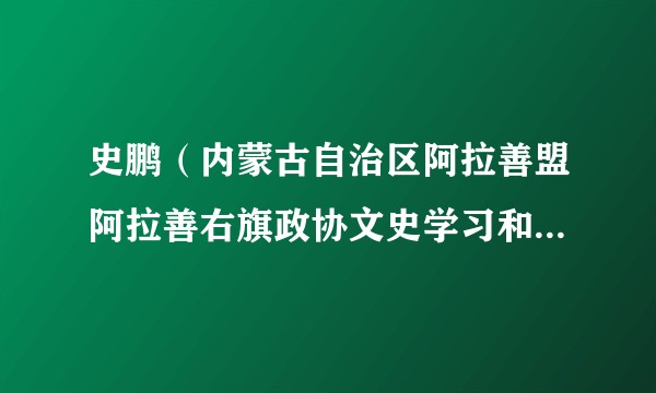 史鹏（内蒙古自治区阿拉善盟阿拉善右旗政协文史学习和教科文卫体委员会原主任）