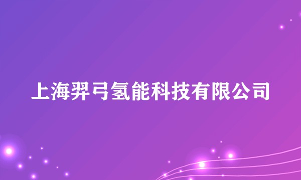 上海羿弓氢能科技有限公司