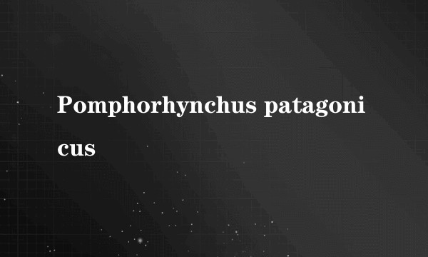 Pomphorhynchus patagonicus