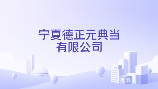 宁夏德正元典当有限公司