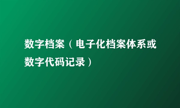数字档案（电子化档案体系或数字代码记录）