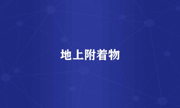 地上附着物