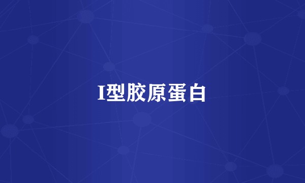 I型胶原蛋白