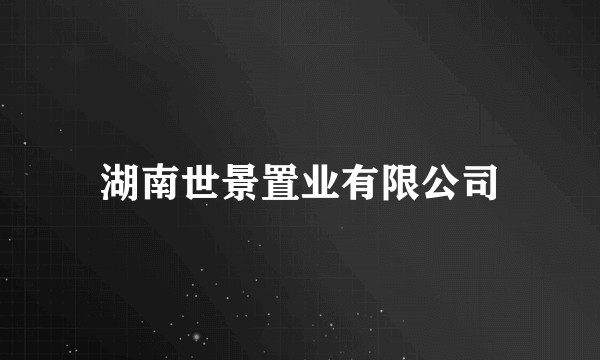 湖南世景置业有限公司
