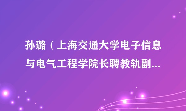 孙璐（上海交通大学电子信息与电气工程学院长聘教轨副教授，博士生导师）