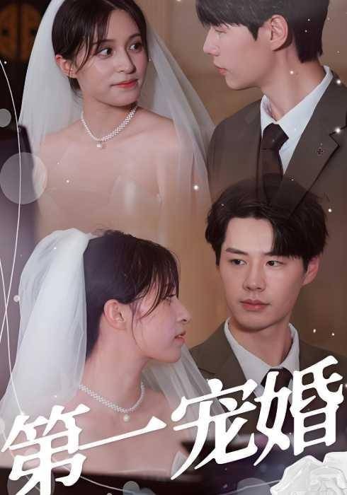 第一宠婚（2024年李佑霖、泮李彤主演电视剧）