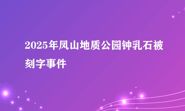 2025年凤山地质公园钟乳石被刻字事件