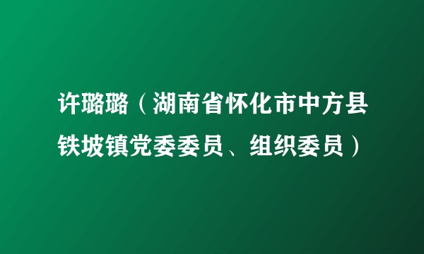 许璐璐(湖南省怀化市中方县铁坡镇党委委员、组织委员)