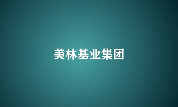 美林基业集团