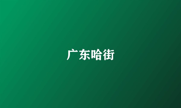 广东哈街